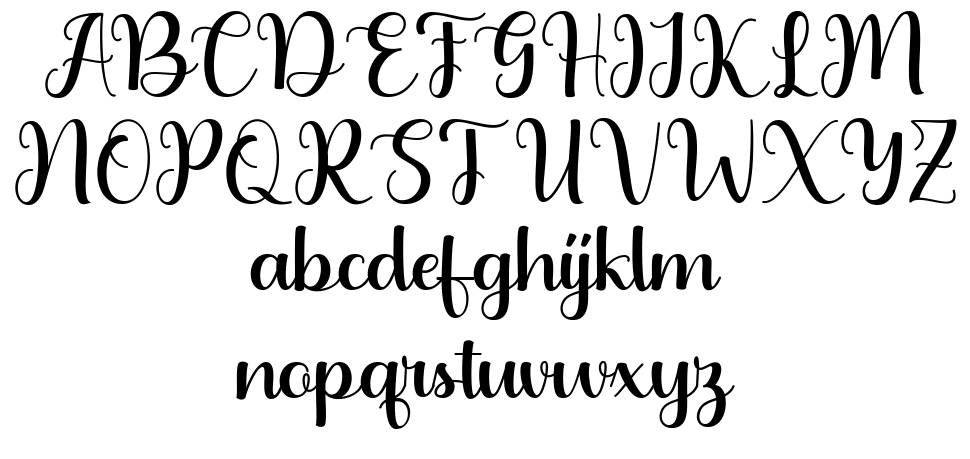 Audigia Script font specimens