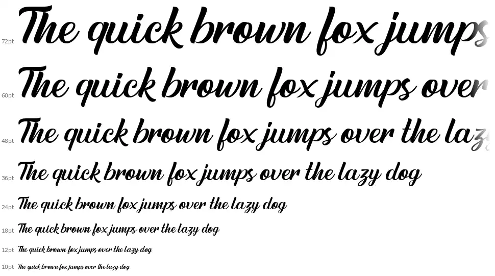 Austein Script font by Letterflow Studio | FontRiver