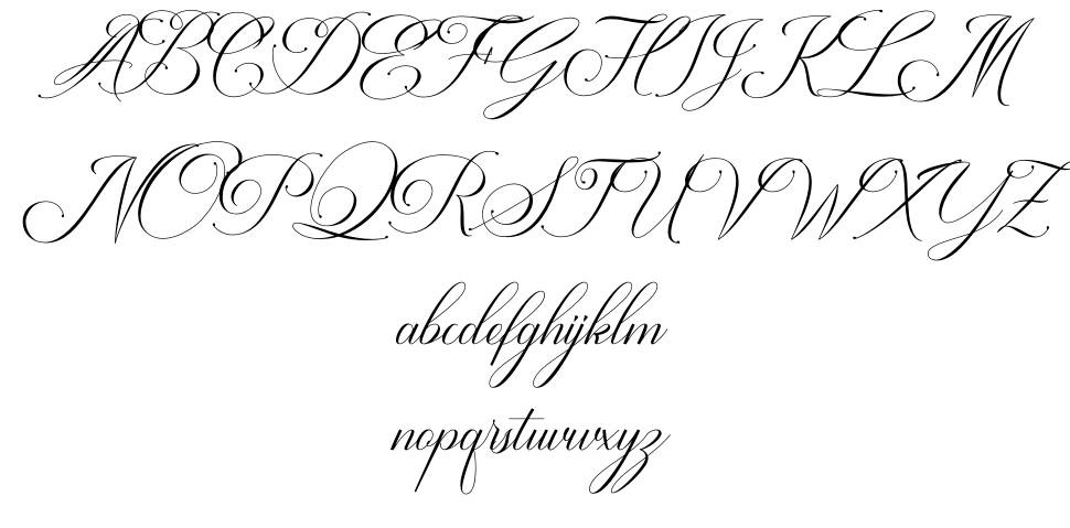 Avalon Chaligraphy font specimens
