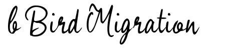 b Bird Migration font
