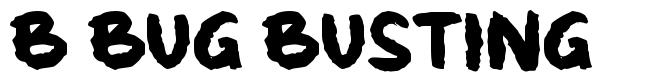 b Bug Busting font