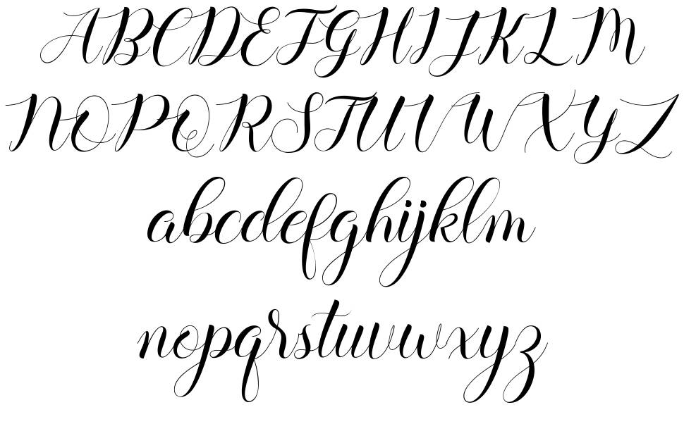 Balerina 字形 标本