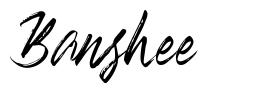 Banshee шрифт