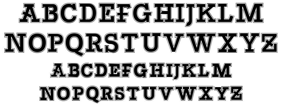 Bascula 字形 标本