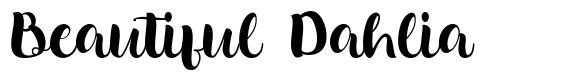 Beautiful Dahlia шрифт