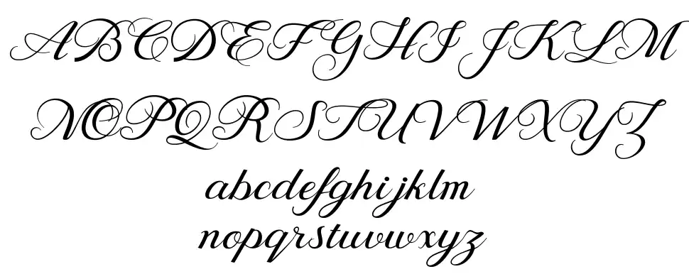 Behind Scriptfont specimens