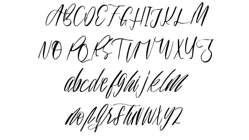 Bellorina 字形 标本