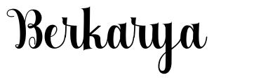 Berkarya 字形