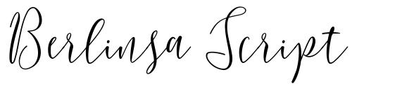 Berlinsa Script font