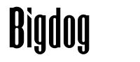 Bigdog font