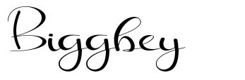Biggbey font