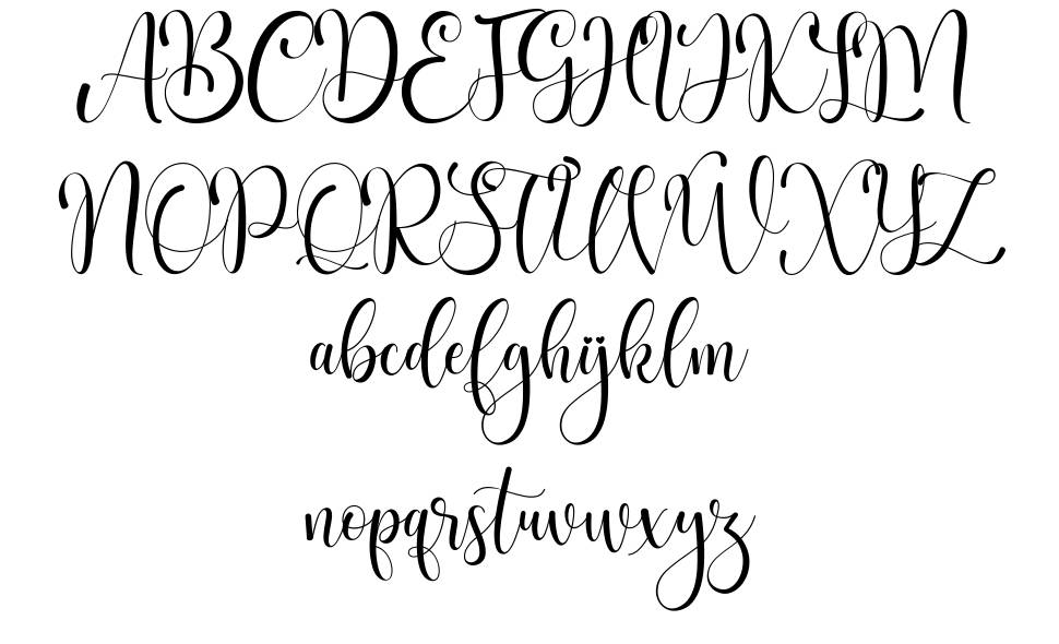 Bigola font specimens