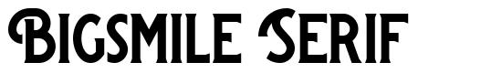 Bigsmile Serif шрифт
