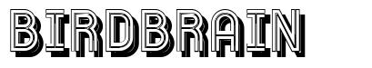 Birdbrain font