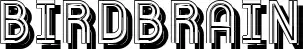 Birdbrain