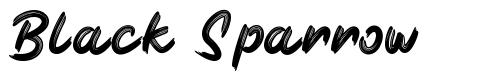 Black Sparrow font
