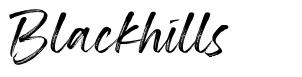 Blackhills шрифт