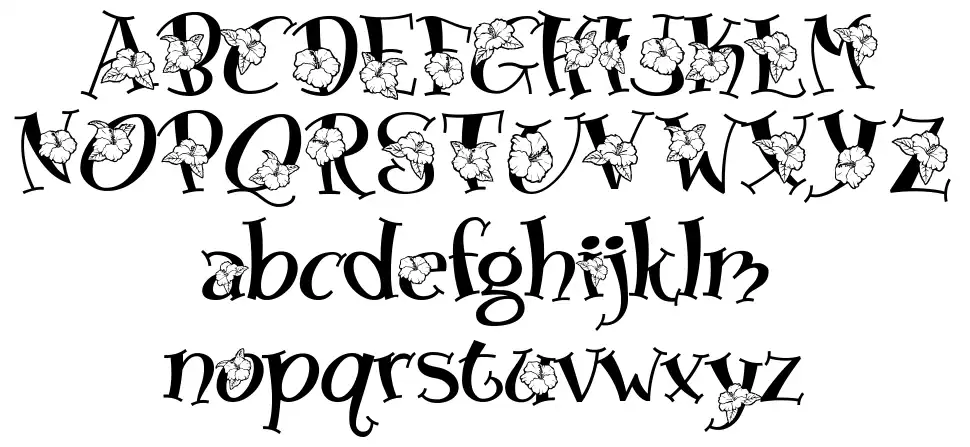 Blossom font specimens