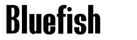 Bluefish шрифт