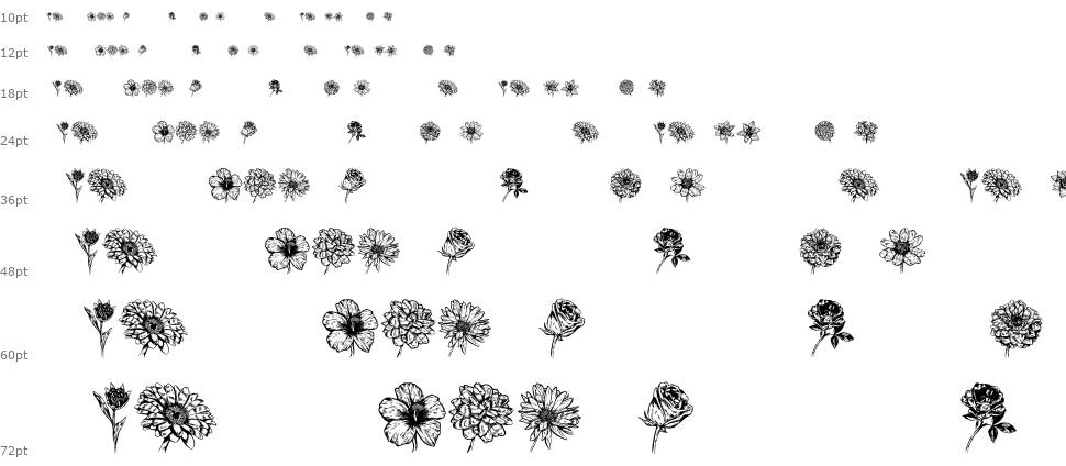 Blumen font Şelale