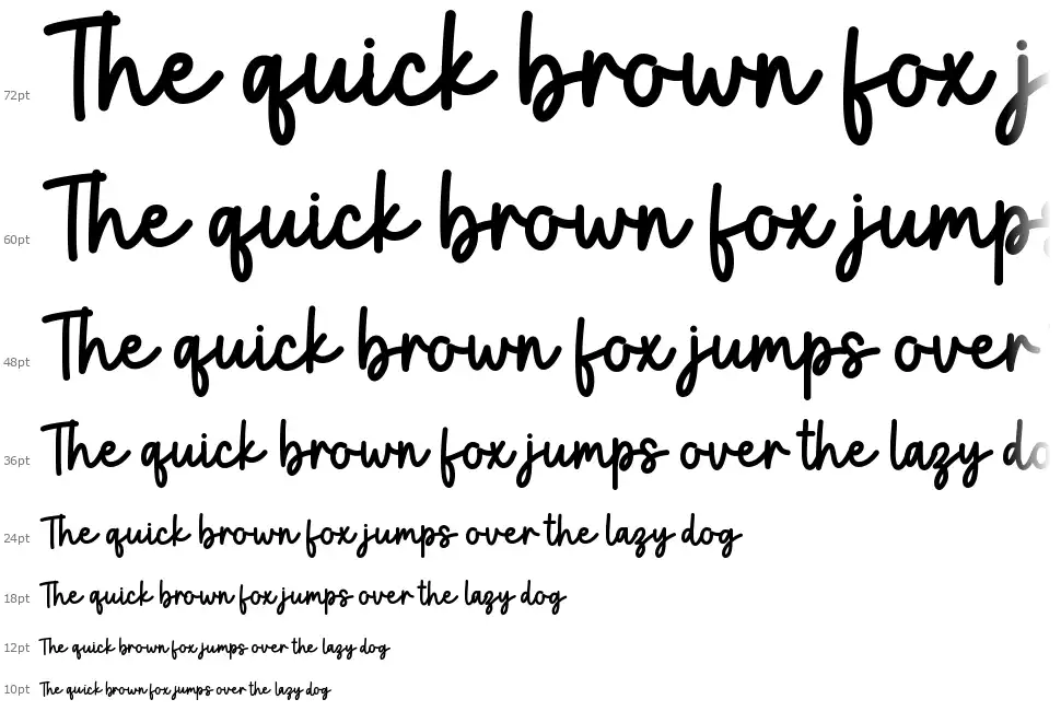 Blush And Bloom font by Graphix Line Studio FontRiver