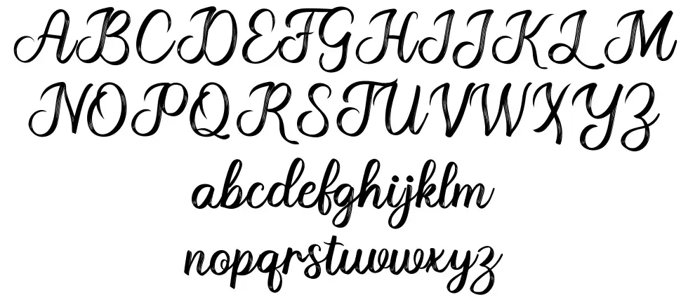 Boho font specimens