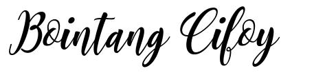Bointang Cifoy font