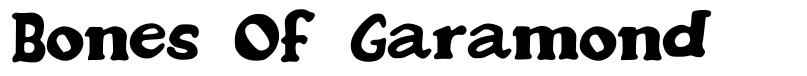 Bones Of Garamond font