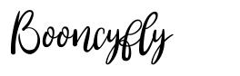 Booncyfly font