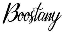 Boostany font
