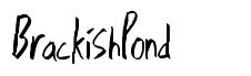 BrackishPond 字形