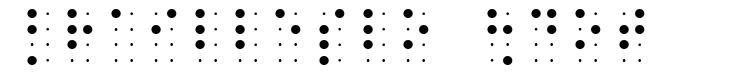 BrailleSlo 8dot písmo
