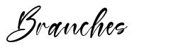 Branches font