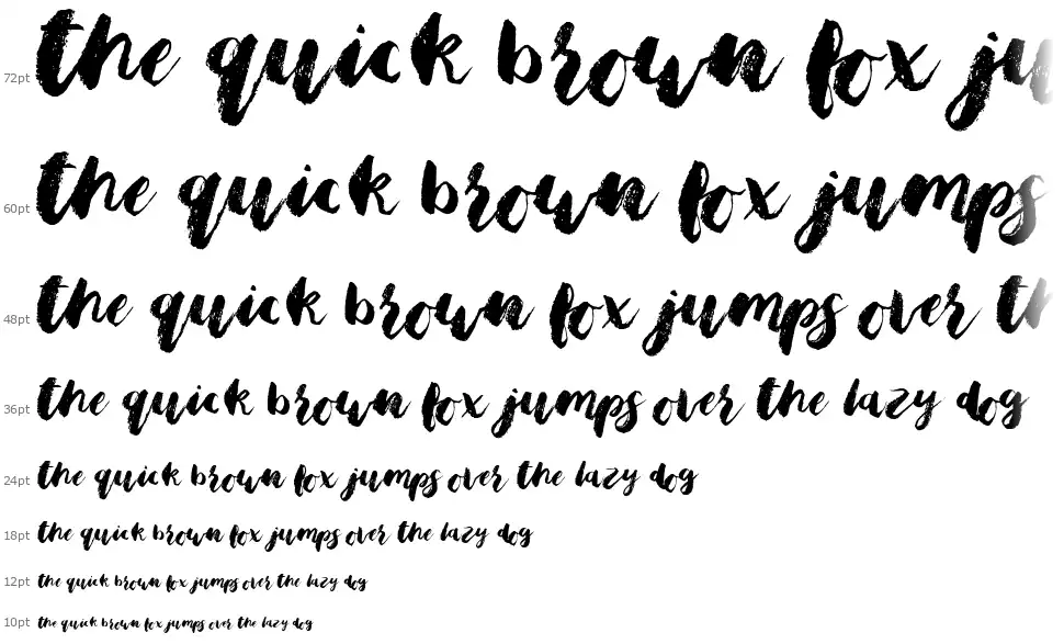 Bristle Brush Script font by Out Of Step Font Company FontRiver