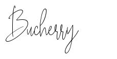 Bucherry 字形