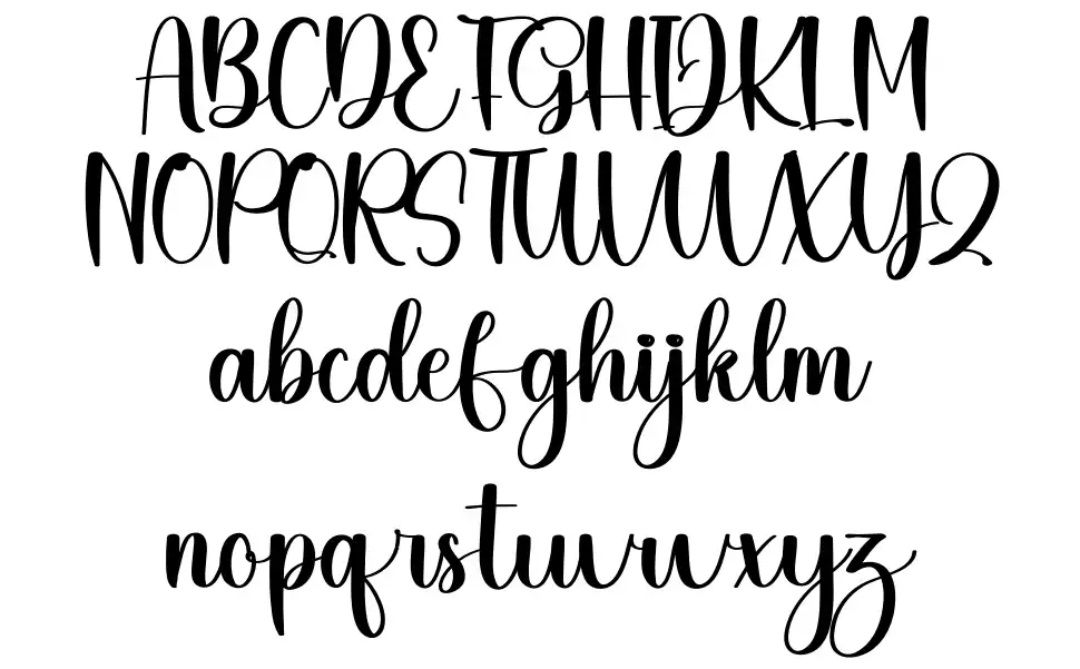 Buddy font specimens