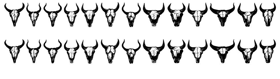 Bull Skulls fonte Espécimes