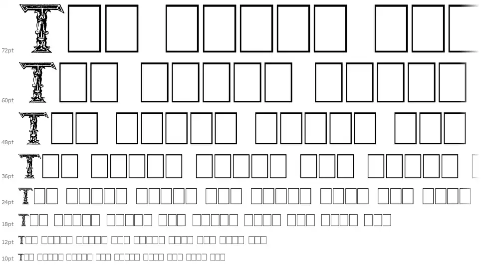Burgoyne Initials font by Paul Lloyd FontRiver