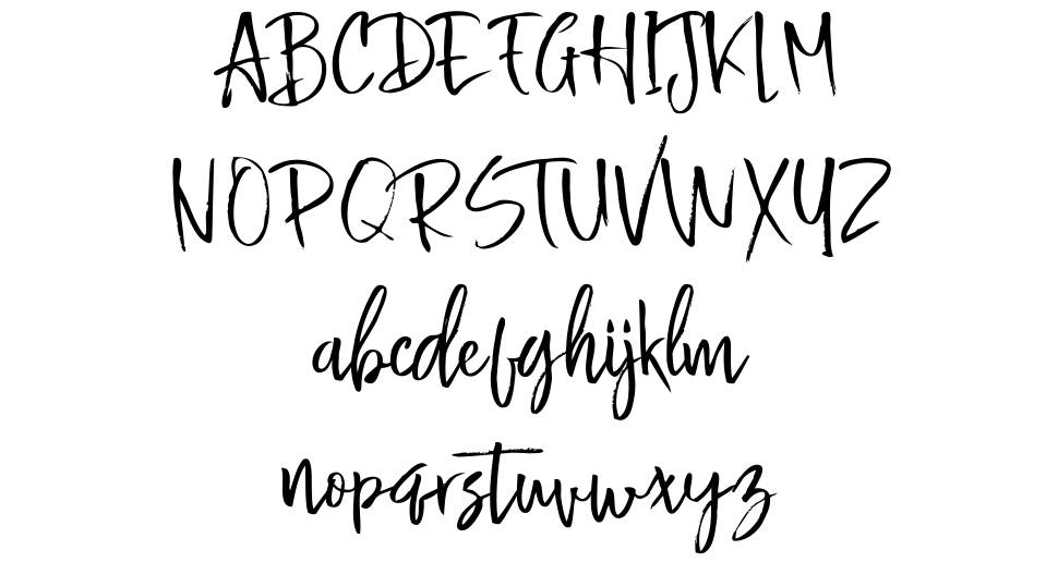 Buttle font specimens
