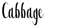 Cabbage font