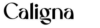 Caligna шрифт