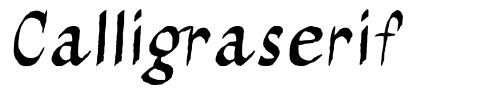 Calligraserif 字形