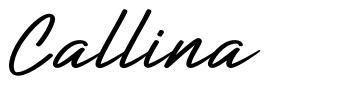 Callina шрифт