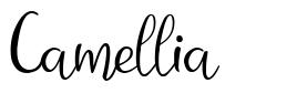 Camellia font