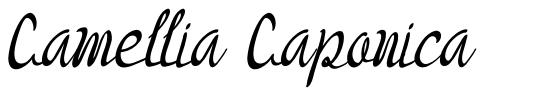 Camellia Caponica czcionka