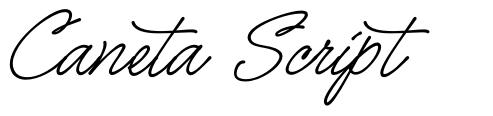 Caneta Script font