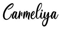 Carmeliya шрифт