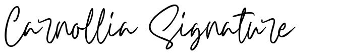 Carnollia Signature fonte