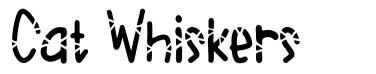 Cat Whiskers font