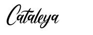 Cataleya шрифт